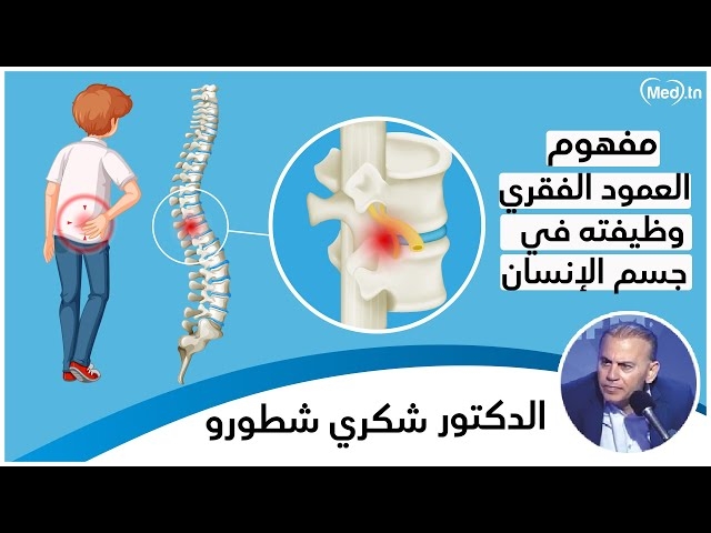 Video  La colonne vertébrale