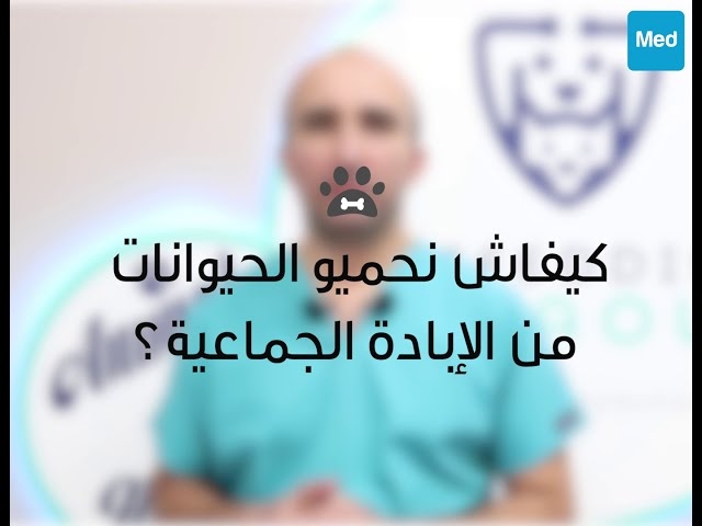 فيديو كيفاش نحميو الحيوانات من الإبادة الجماعية؟