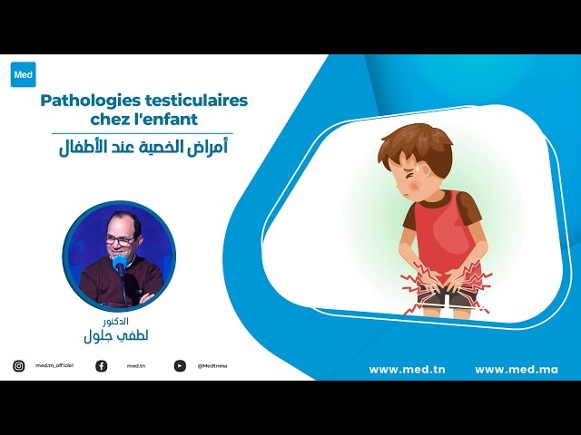 Video Pathologies testiculaires chez l'enfant