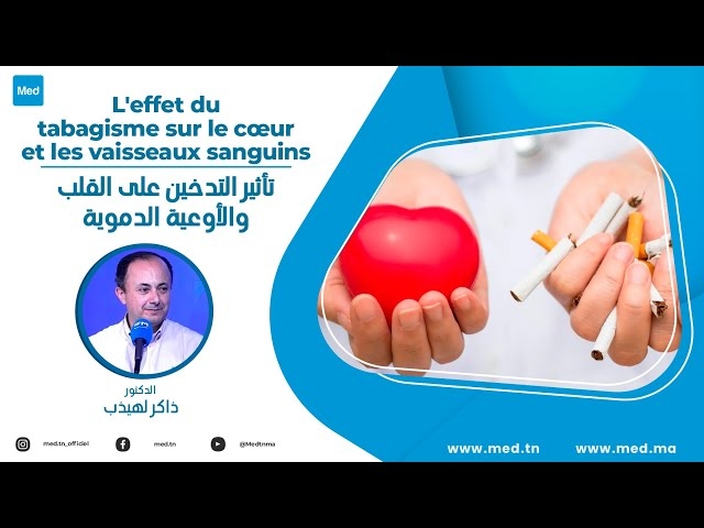 Video L'effet du tabagisme sur le cœur et les vaisseaux sanguins