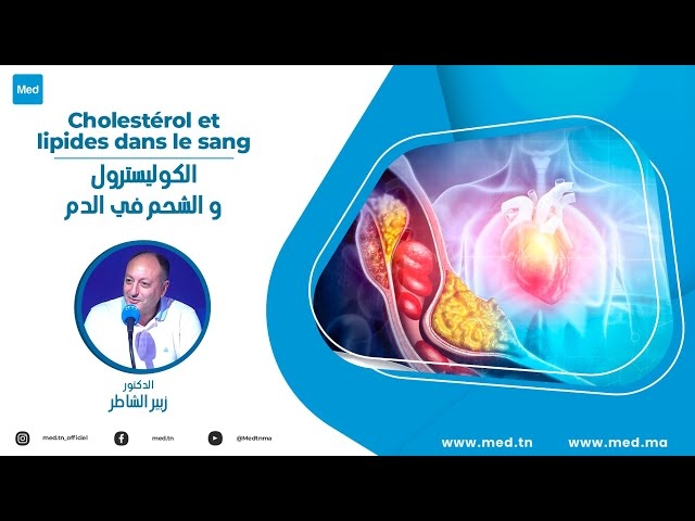 Video Cholestérol et lipides dans le sang