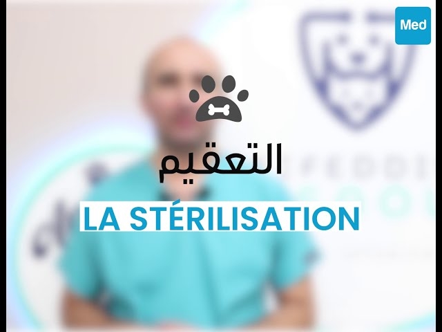 فيديو La stérilisation des animaux de compagnie