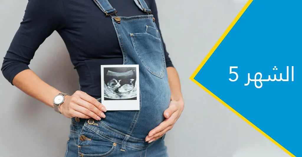 كيفية متابعة الحمل