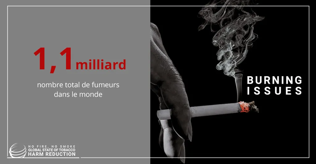La réduction des risques tabagiques dans le monde