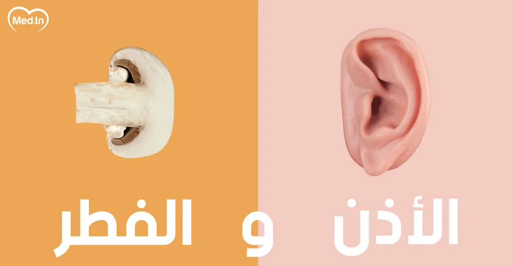  أطعمة تشبه أعضاء الجسم و مفيدة لها... تعرف عليها