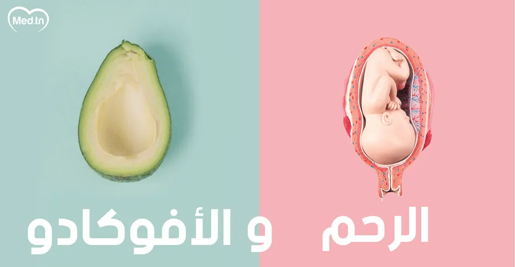  أطعمة تشبه أعضاء الجسم و مفيدة لها... تعرف عليها