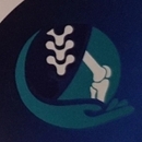 Dr Birouk Mounsif Orthopaedic and Trauma Surgeon