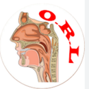 Dr Rahmani Abdechafik Otolaryngologist (ENT)