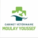 الدكتورة   عيادة بيطرية مولاي يوسف وليد عالم طبيب بيطري