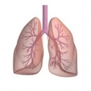 Dr El houari Assia Pneumologue