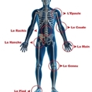 الدكتورة عمر حداد أخصائية جراحة العظام و المفاصل