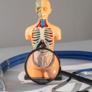 Dr El bouatmani Mouna Gastroenterolog