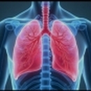  Djamel MERAKCHI - Dr DIB Med Cherif  Pneumologue