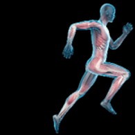 Dr Laasri Rachid Chirurgien Orthopédiste Traumatologue