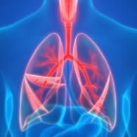 Dr Annabi Ep Jerbi Hajer Pneumologue