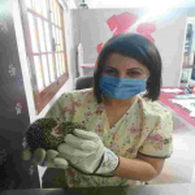 Dr GHALI Marwa Vétérinaire