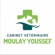 Dr Cabinet Vétérinaire Moulay Youssef Karim Ghita Veterinarian