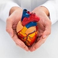 Dr Khadija Ben Cheikh Cardiologue