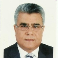 Pr MAHMOUD KHALED Obstetrician Gynecologist