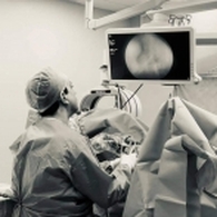 Dr koudri samy adel Urologist Surgeon