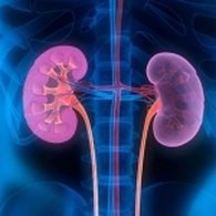 Dr AIT KACI S Nephrologist