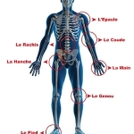 Dr Omar Hadad Chirurgien Orthopédiste Traumatologue