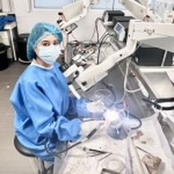 Dr Farjallah Hela Oto-Rhino-Laryngologiste (ORL)