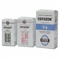 Cefozon 2gm vial