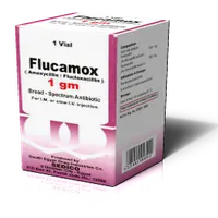 Flucamox 1gm vial