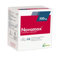 NOVAMOX 500mg Comp.Disper. Bt 24
