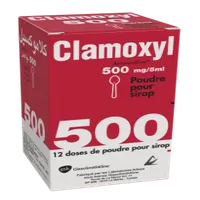 CLAMOXYL 500mg Gél. Bt 12