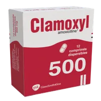 CLAMOXYL Dispers. 500mg Comp Soluble Bt 12