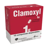 CLAMOXYL Dispersible 1gr Comp. Soluble Bt 12