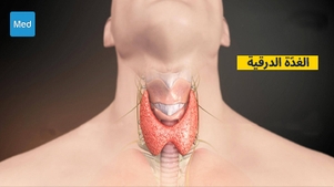 لمحة عامة عن الغُدَّة الدرقية