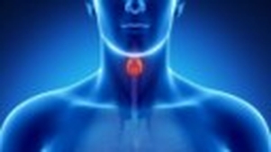 L'Hypothyroïdie : Comprendre et Gérer une Pathologie Fréquente