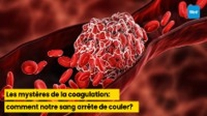 Les mystères de la coagulation : comment notre sang arrête de couler