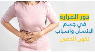 Magazine دور المرارة في جسم الإنسان وأسباب تكوّن الحصى 