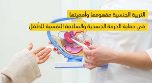 Magazine التربية الجنسية مفهومها وأهميتها في حماية الحرمة الجسدية والسلامة النفسية للطّفل 