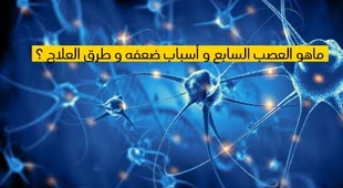 Magazine ماهو العصب السابع و أسباب ضعفه و طرق العلاج ؟