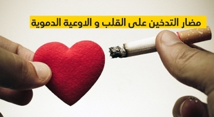 Magazine مضار التدخين على القلب و الاوعية الدموية