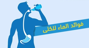 المجلة الطبية فوائد الماء للكلى