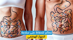 Magazine نصائح للحفاظ على سلامة الجهاز الهضمي