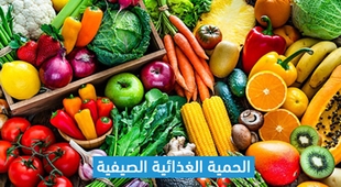 Magazine الحمية الغذائية الصيفية