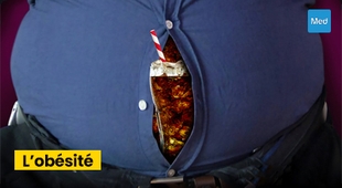 Magazine L'Obésité : Comprendre, Prévenir et Gérer