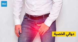 Magazine دوالي الخصية