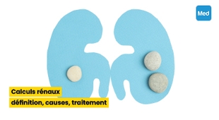 المجلة الطبية Calculs rénaux : définition, causes, traitement