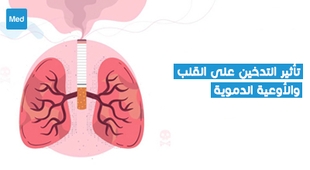 Magazine تأثير التدخين على القلب والأوعية الدموية