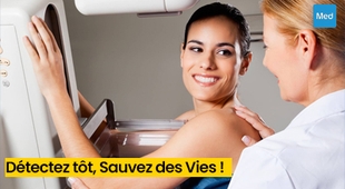 Makaleler Cancer du sein