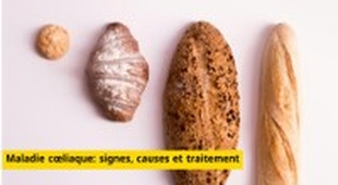 المجلة الطبية Maladie cœliaque : Reconnaître les signes, comprendre les causes, et adopter un traitement efficace