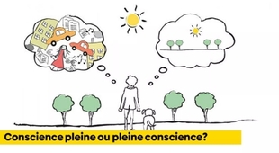 Magazine Les Bienfaits de la Mindfulness pour un Équilibre Mental au Quotidien